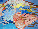 fish & shell